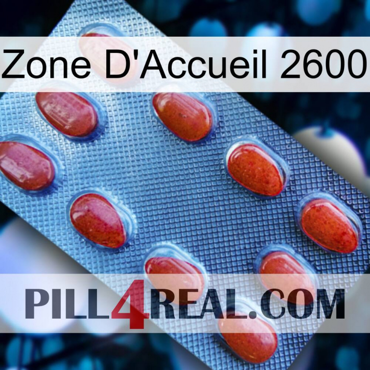 Home Zone 2600 06